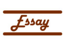 Essay