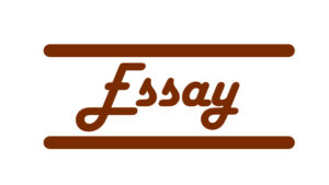Essay