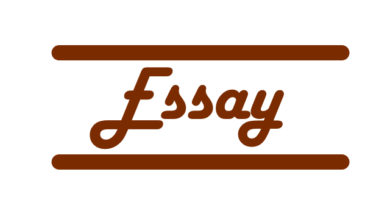 Essay